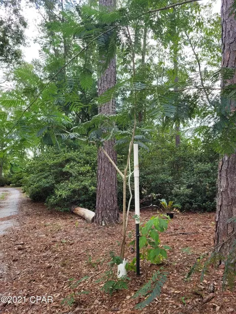 5296 Baxter Rd, Malone, FL 32445 photo 41
