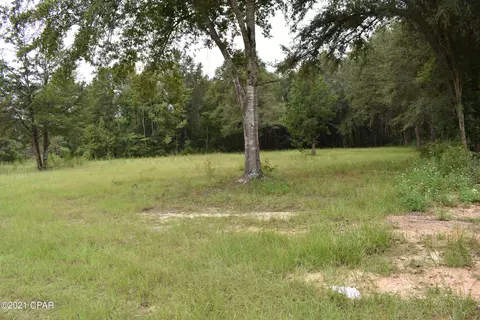 1281 Tharpe Rd, Chipley, FL 32428 photo 68