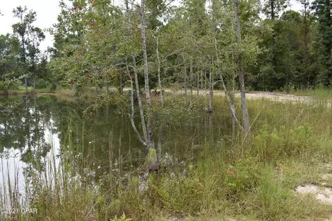 1281 Tharpe Rd, Chipley, FL 32428 photo 45