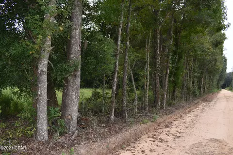 1281 Tharpe Rd, Chipley, FL 32428 photo 65