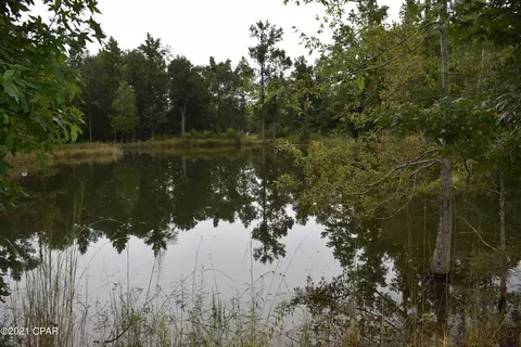 1281 Tharpe Rd, Chipley, FL 32428 photo 43