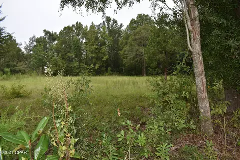 1281 Tharpe Rd, Chipley, FL 32428 photo 64