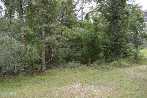 1281 Tharpe Rd, Chipley, FL 32428 photo 63