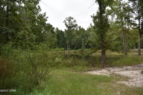 1281 Tharpe Rd, Chipley, FL 32428 photo 40