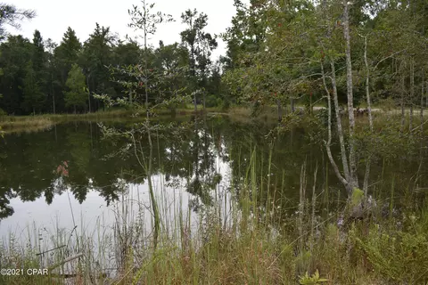 1281 Tharpe Rd, Chipley, FL 32428 photo 44