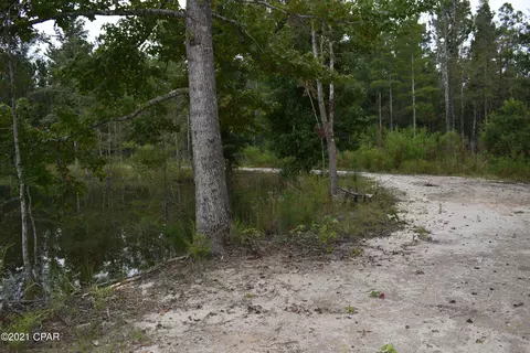 1281 Tharpe Rd, Chipley, FL 32428 photo 41