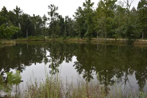 1281 Tharpe Rd, Chipley, FL 32428 photo 42