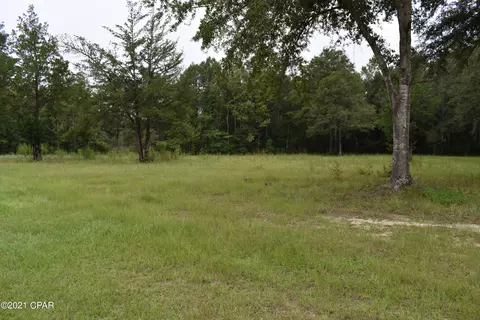 1281 Tharpe Rd, Chipley, FL 32428 photo 67