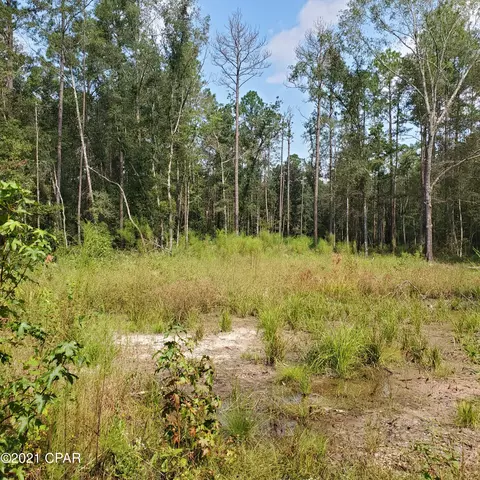 2848 Prospect Rd, Vernon, FL 32462 photo 3