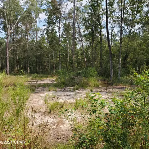 2848 Prospect Rd, Vernon, FL 32462 photo 4