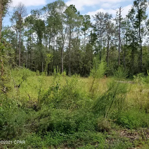 2848 Prospect Rd, Vernon, FL 32462 photo 1