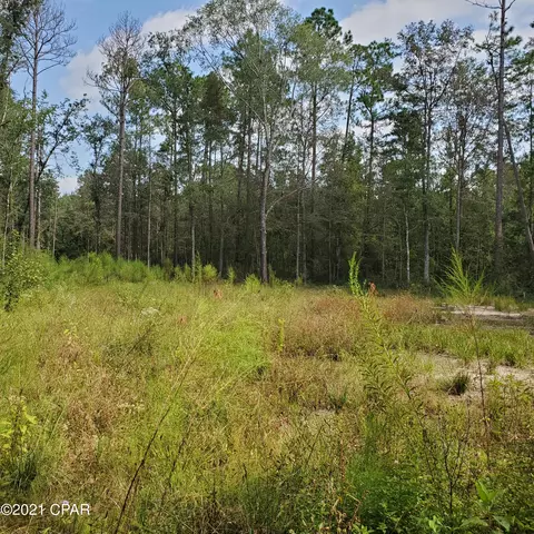 2848 Prospect Rd, Vernon, FL 32462 photo 5