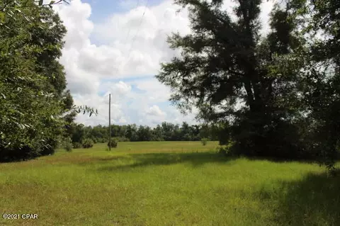 4911 Basswood Rd, Bascom, FL 32423 photo 56