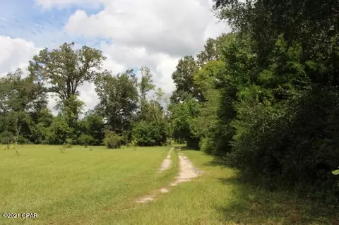 4911 Basswood Rd, Bascom, FL 32423 photo 59