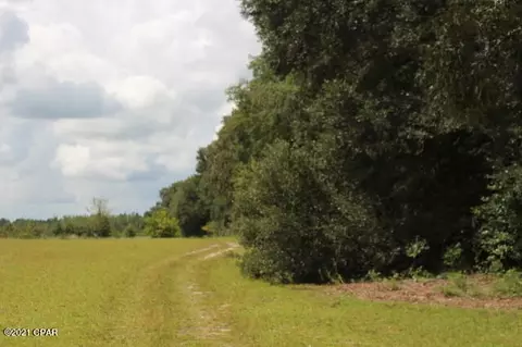 4911 Basswood Rd, Bascom, FL 32423 photo 62