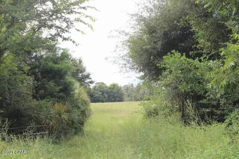 4911 Basswood Rd, Bascom, FL 32423 photo 64