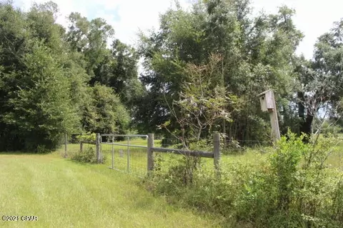4911 Basswood Rd, Bascom, FL 32423 photo 55