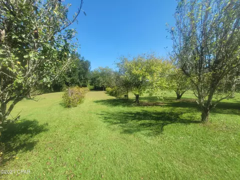 1059 Earlene Ln, Chipley, FL 32428 photo 32