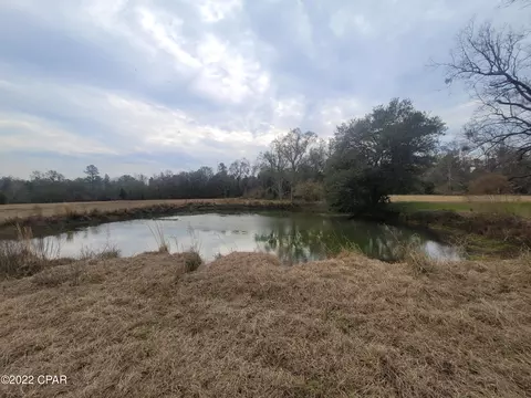 1059 Earlene Ln, Chipley, FL 32428 photo 47