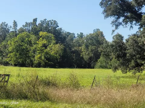 1059 Earlene Ln, Chipley, FL 32428 photo 37