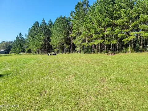 1059 Earlene Ln, Chipley, FL 32428 photo 30