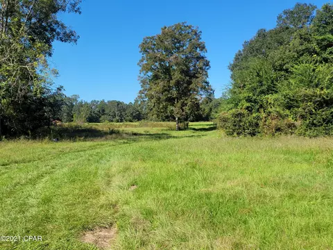 1059 Earlene Ln, Chipley, FL 32428 photo 36