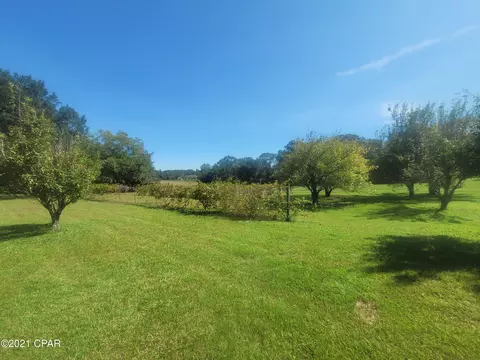 1059 Earlene Ln, Chipley, FL 32428 photo 31