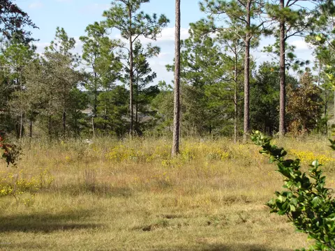 2320 Rolling Pines Rd, Chipley, FL 32428 photo 15
