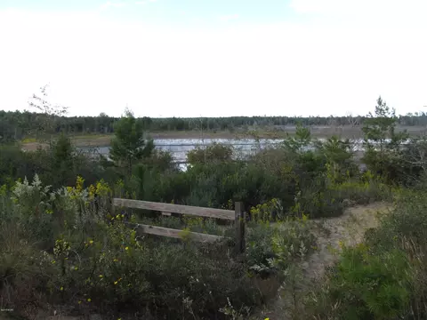 2320 Rolling Pines Rd, Chipley, FL 32428 photo 23