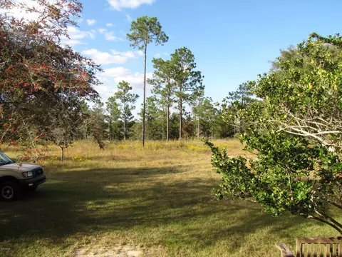2320 Rolling Pines Rd, Chipley, FL 32428 photo 29