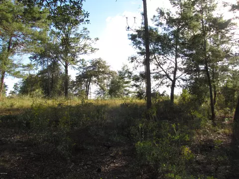 2320 Rolling Pines Rd, Chipley, FL 32428 photo 25