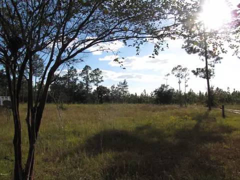 2320 Rolling Pines Rd, Chipley, FL 32428 photo 31