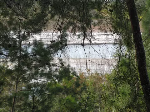 2320 Rolling Pines Rd, Chipley, FL 32428 photo 2