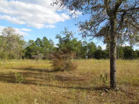 2320 Rolling Pines Rd, Chipley, FL 32428 photo 33