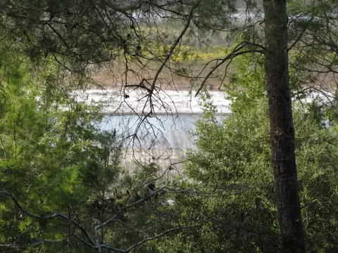 2320 Rolling Pines Rd, Chipley, FL 32428 photo 17