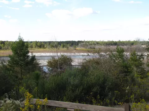 2320 Rolling Pines Rd, Chipley, FL 32428 photo 19