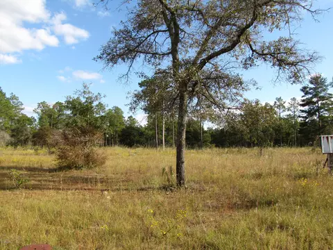 2320 Rolling Pines Rd, Chipley, FL 32428 photo 32