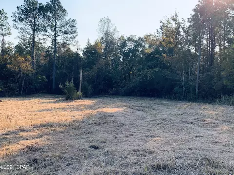 180 Garrett Ln, Freeport, FL 32439 photo 3