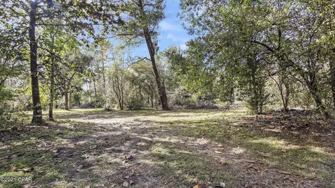 3435 Syfrett Rd, Chipley, FL 32428 photo 30