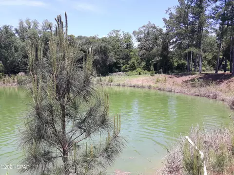 4882 Logan Loop, Malone, FL 32445 photo 5