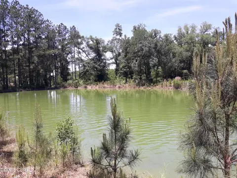 4882 Logan Loop, Malone, FL 32445 photo 6
