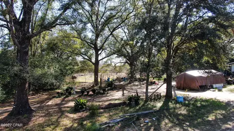 3676 Gainer Rd, Chipley, FL 32428 photo 24