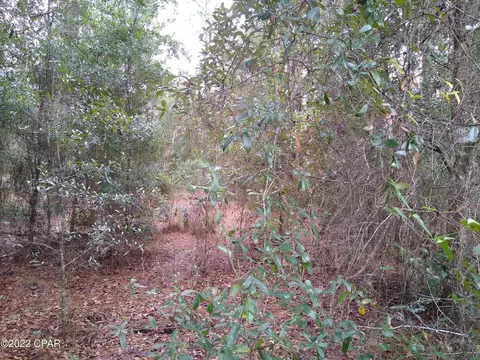 219 Flagler Dr, Interlachen, FL 32148 photo 3