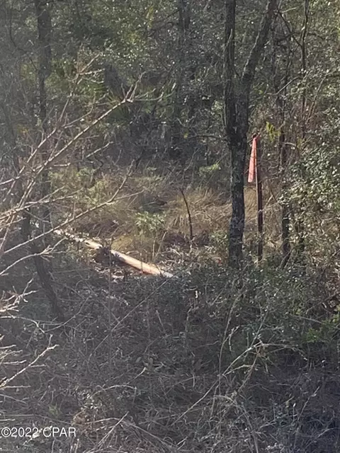 tbd Wheeler, Chipley, FL 32428 photo 6