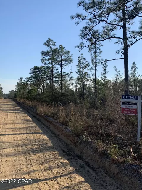 tbd Wheeler, Chipley, FL 32428 photo 2
