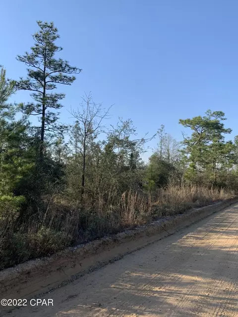 tbd Wheeler, Chipley, FL 32428 photo 3