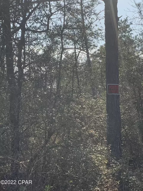 tbd Wheeler, Chipley, FL 32428 photo 7