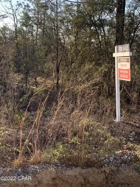 tbd Wheeler, Chipley, FL 32428 photo 4