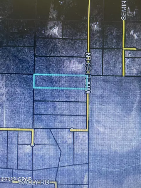 tbd Wheeler, Chipley, FL 32428 photo 1