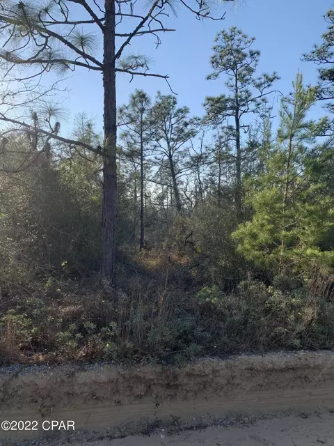 tbd Wheeler, Chipley, FL 32428 photo 5